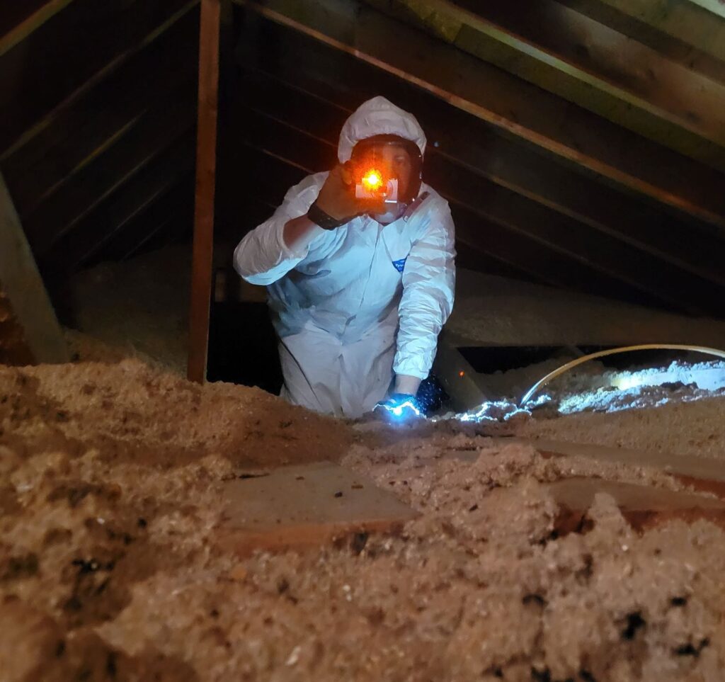 Attic Inspection to see insulation levels